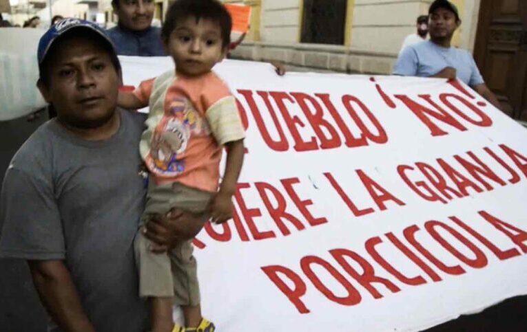 Denuncian que empresas porcícolas además de contaminar, vulneran los derechos de trabajadores en Yucatán