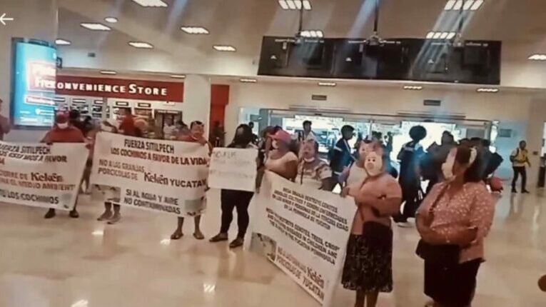 Con máscaras de cochinos, Sitilpech protestó en aeropuerto de Cancún