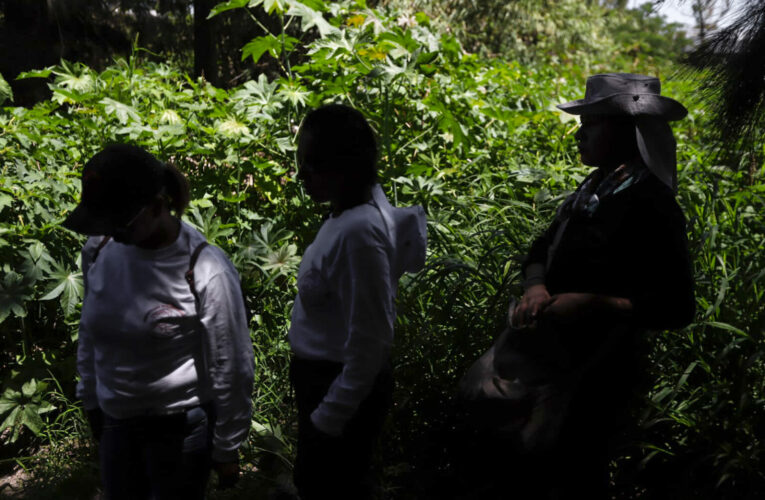 ¿Quién protege a las buscadoras de Guanajuato?