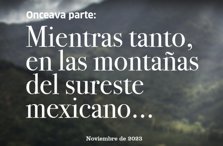 Onceava Parte: Mientras tanto, en las montañas del sureste mexicano…