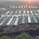 Mayas desconocen acuerdo para ordenar industria porcícola. “Parece que los indígenas somos la comunidad a vencer”