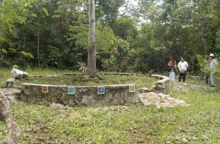 Tren Maya, daños al patrimonio: Investigadores del INAH a Fiscalía