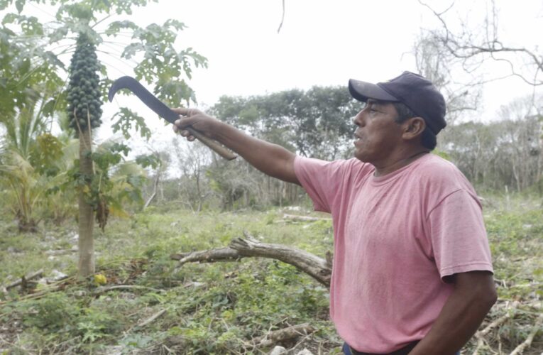Bachoco amenaza con desaparecer a ejidatario de Yucatán para despojarlo de sus tierras