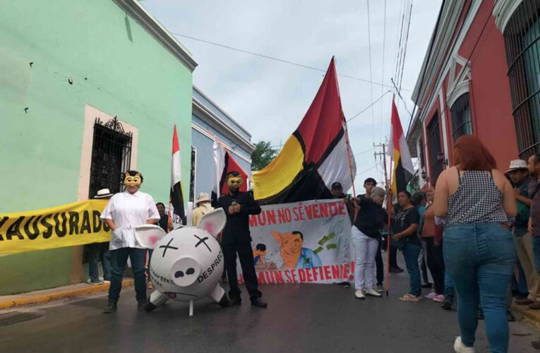 ¡Adiós a la megagranja de cerdos de Homún! Sentencia histórica revoca permisos ambientales a la porcícola (Yucatán)