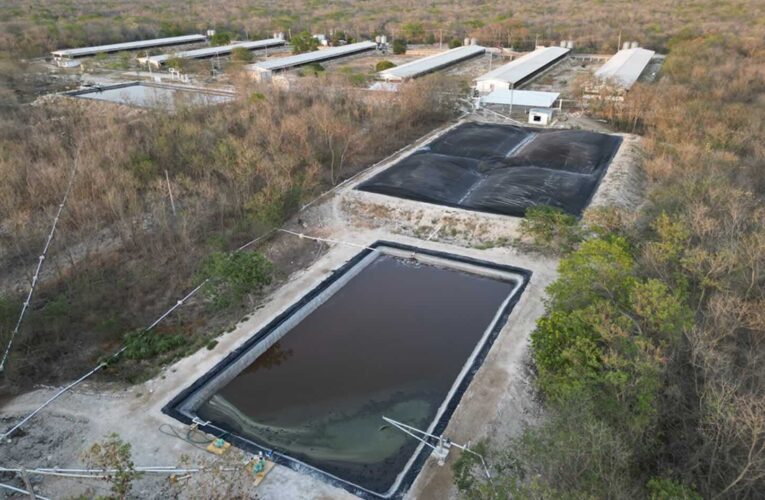 Yucatán: el Anillo de Cenotes ante la crisis hídrica y el avance industrial