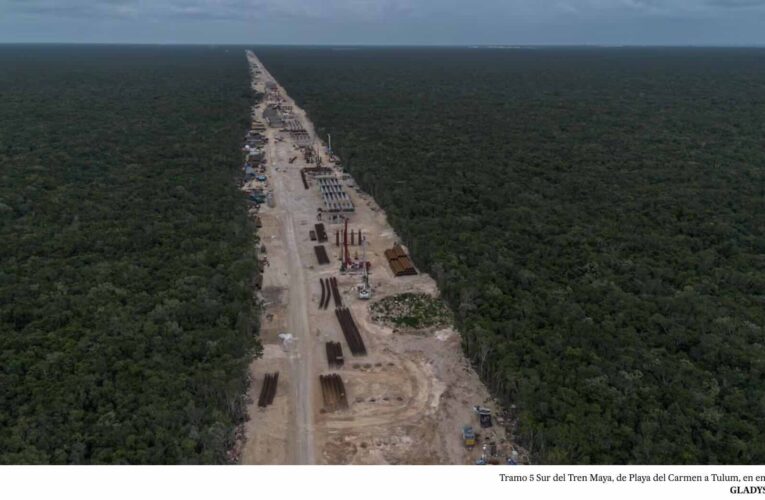 Retrasos, criminalización y desacatos: los amparos contra la construcción del Tren Maya no ven la luz al final del túnel