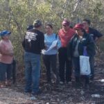 Estafadores de tierras en Baca (Yucatán)