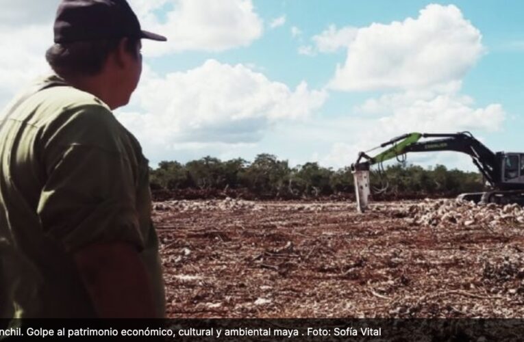 “Nos dejan mierda, pestilencia y moscas”: La batalla de Kinchil contra granja avícola en Yucatán