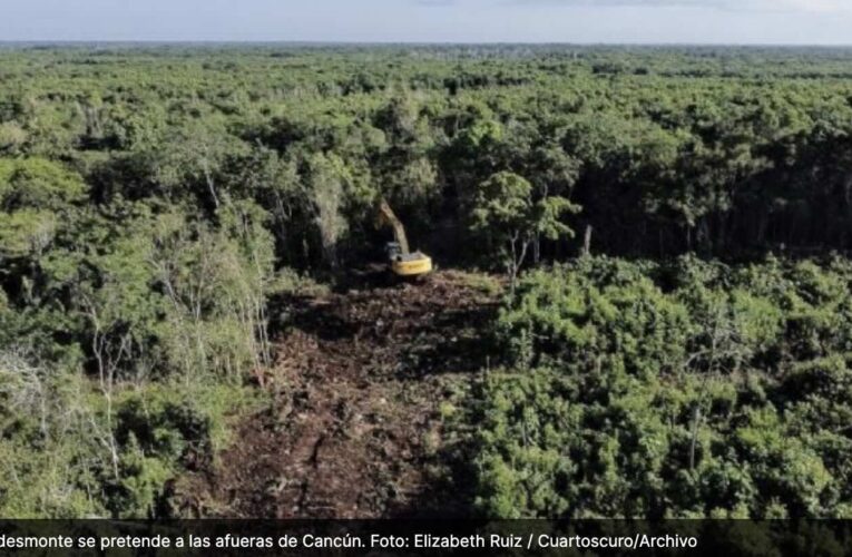 Tren Maya: el nuevo Poder Judicial rechaza amparo para detener destrucción de selva