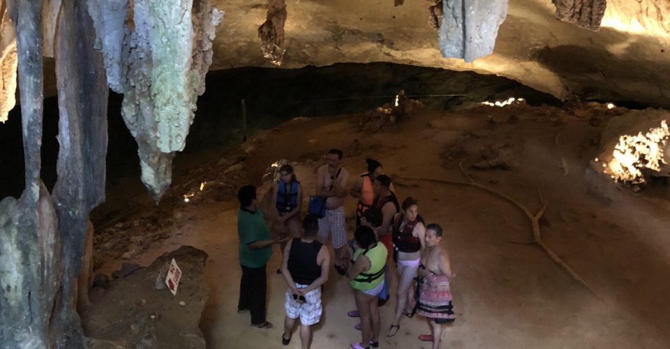 Autorizan con irregularidades granja de 49 mil cerdos en reserva de cenotes en Yucatán