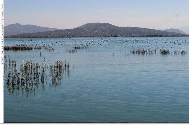 El lago vale mucho más que el aeropuerto