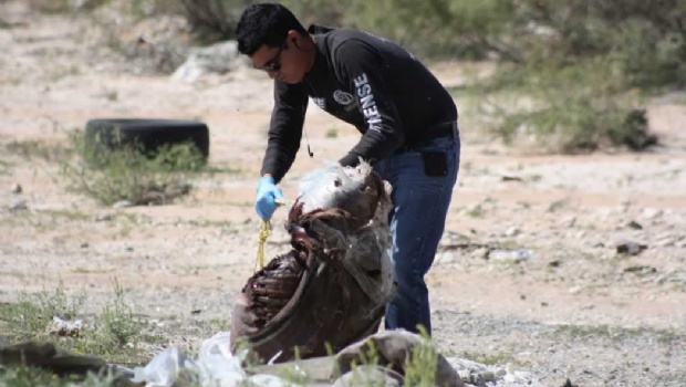 Desaparecidos en un abismo de impunidad (Chihuahua)