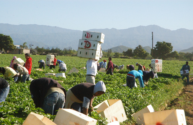 BCS es de los Estados con mayor tasa de inmigrantes