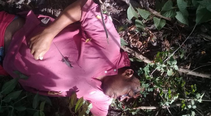 Aparece muerto coordinador del Codedi de Salchi, Pochutla (Oaxaca)