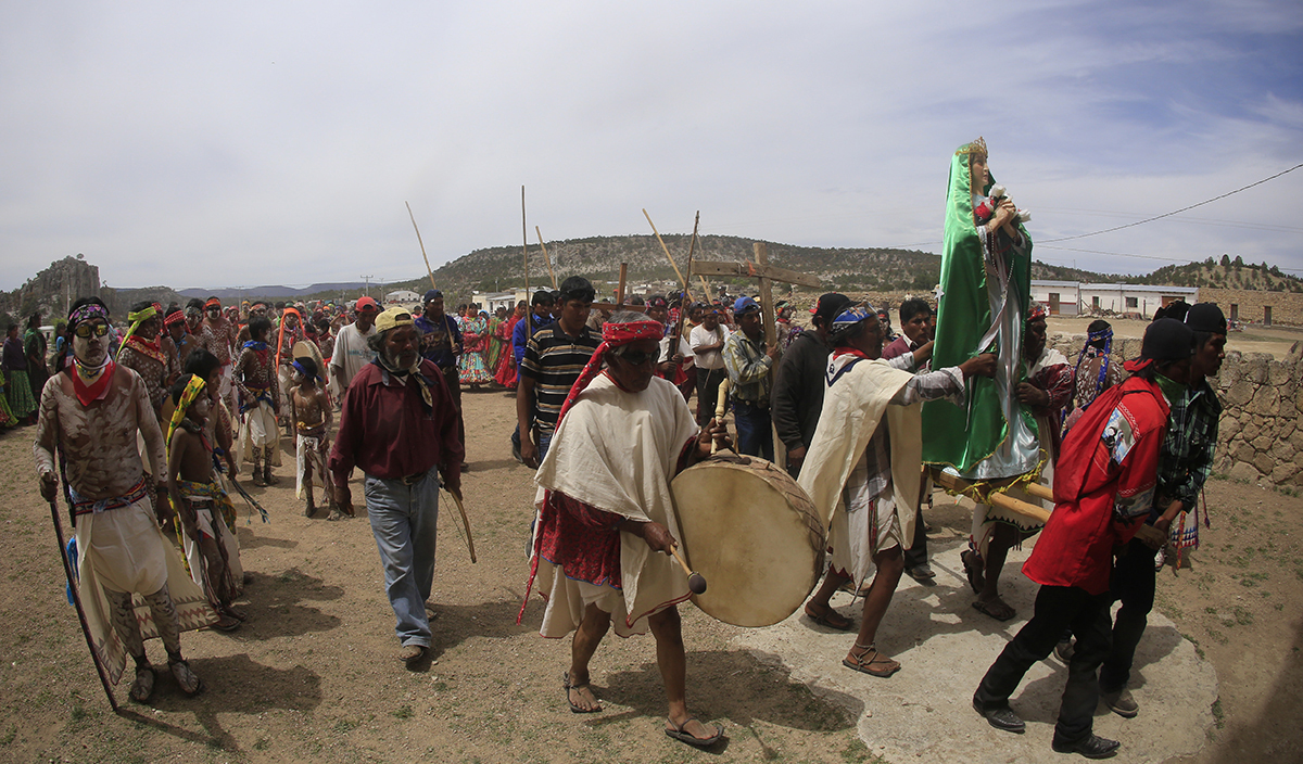 Morir en defensa del bosque (Chihuahua)