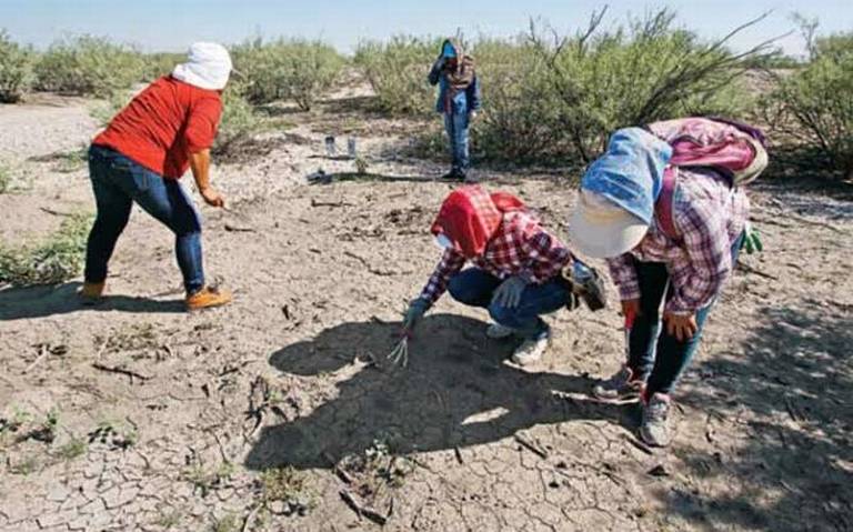 Continúa búsqueda de desaparecidos en límites de SLP y Tamaulipas