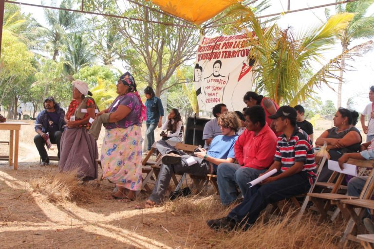 México: Aumentan los asesinatos de defensores de la tierra y el territorio en Oaxaca