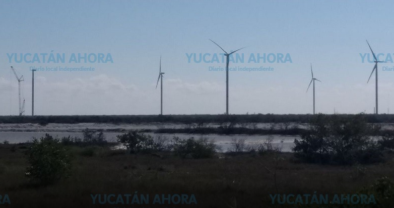 En la ilegalidad los 20 proyectos de energía renovable en Yucatán