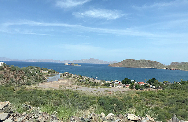 Continua proyecto de decretar litoral de BCS área natural protegida: Semarnat