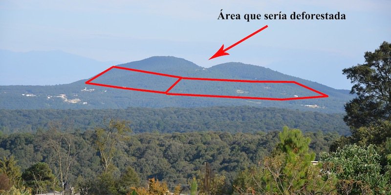Destrucción de 200 mil árboles por zona residencial en Jilotzingo, Edomex