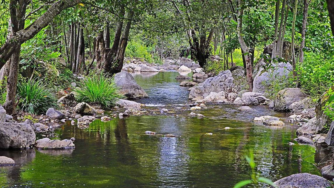 Yavesía defiende agua y la vida; amenaza minera en territorio juarista (Oaxaca)