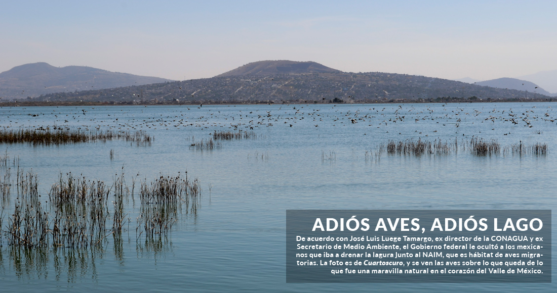 El Gobierno federal ocultó que estaba drenando el lago junto al NAIM: Luege; marchan en CdMx