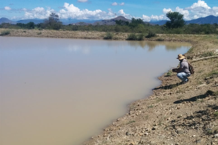 Incertidumbre, tras derrame minero en arroyo de Magdalena Ocotlán (Oaxaca)