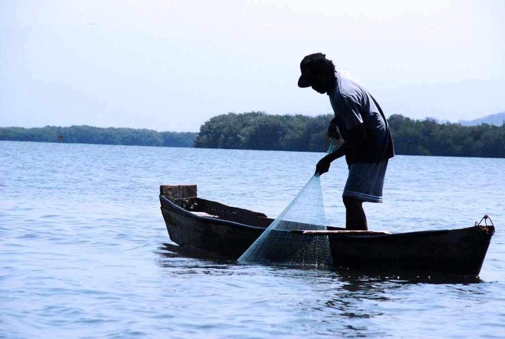 Alertan abogados estrategias de privatización de tierras colectivas en México (Oaxaca)