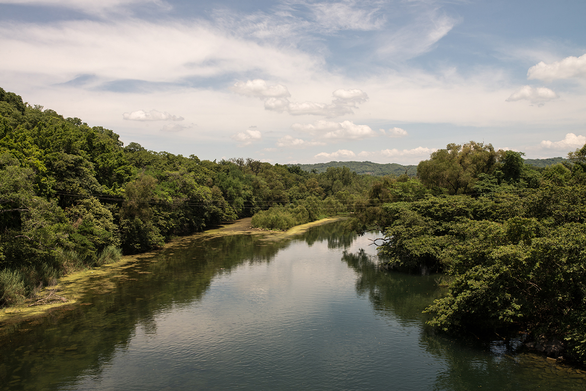 Trabajo de hormigas (San Luis Potosí)