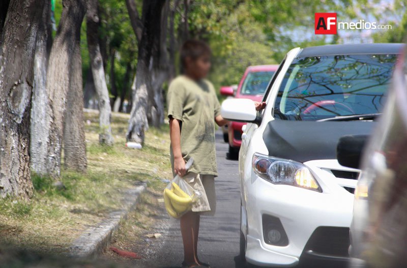 Nayarit, Zacatecas, Guerrero y Puebla, con mayor trabajo infantil no permitido: INEGI