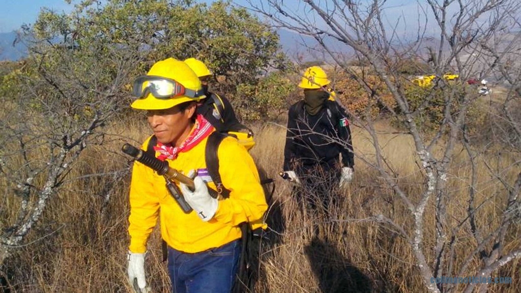 En el limbo laboral trabajadores eventuales de la CONAFOR en Colima