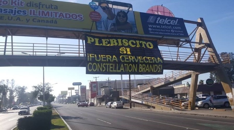 Cumple los  requisitos de ley la solicitud de plebiscito contra Constellation Brands: IEEBC (Baja California)