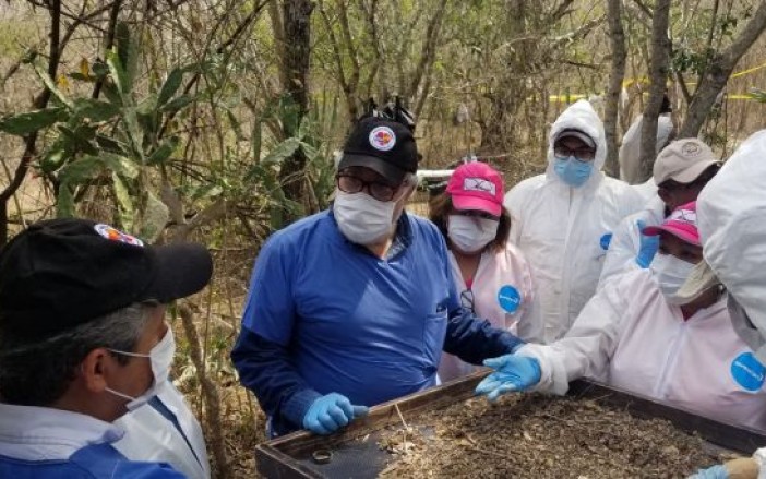 Escarban fosas clandestinas con sus manos (Tamaulipas)