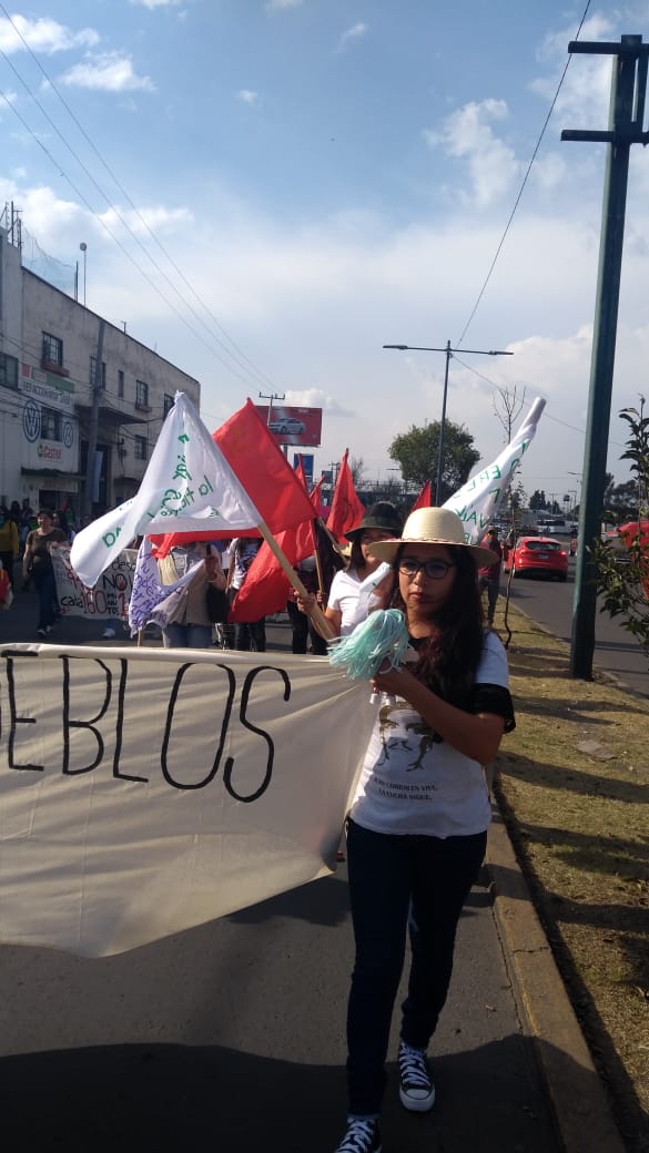 Marchan en Toluca exigiendo equidad, igualdad y alto a la violencia