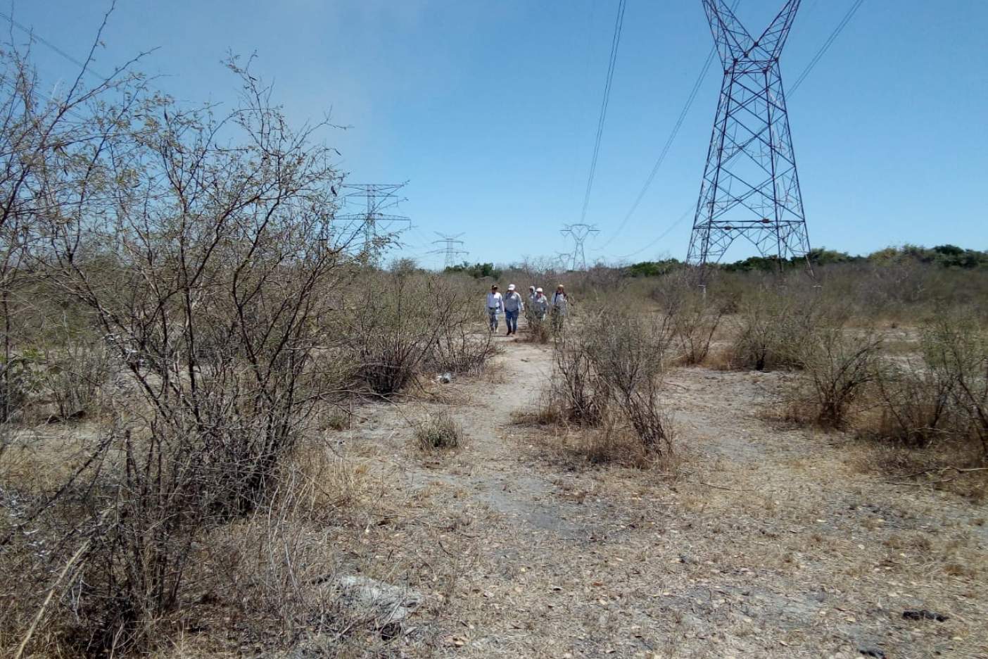 Rastreadoras hallan nueva fosa clandestina en Mazatlán (Sinaloa)