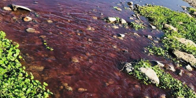 Semarnath niega denuncia por río contaminado con sangre de animal (Hidalgo)