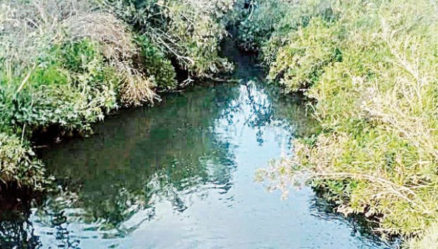 Solapa Simas la contaminación (Coahuila)