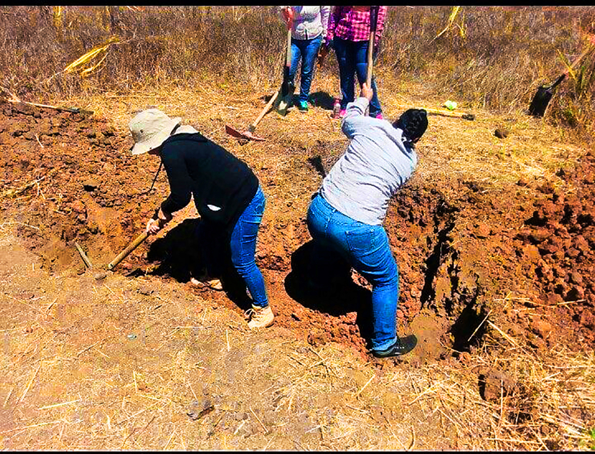 En el predio de la Saucera en Pantanal siguen saliendo Osamentas (Nayarit)