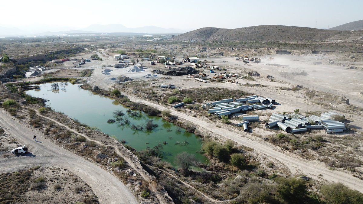 Denuncian vecinos ecocidio en Arteaga: fauna y flora en vilo (Coahuila)