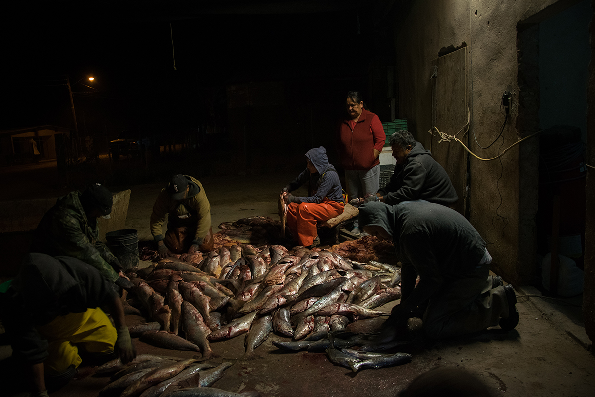 Cucapá, mujeres de agua y fuego (Baja California)