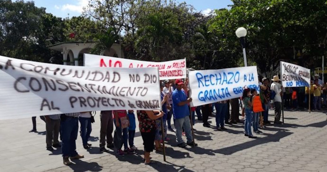 Habitantes de Actopan, Veracruz, denuncian daños ambientales por la construcción de una planta