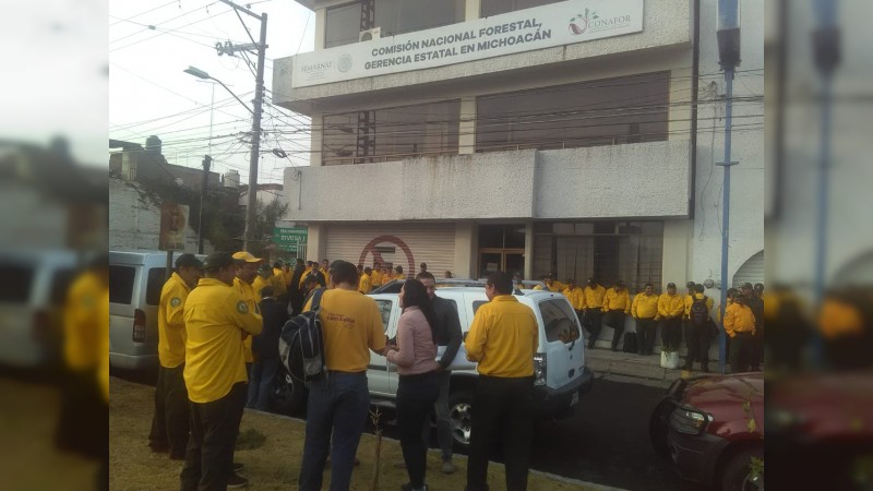 Con recortes a CONAFOR, brigadas contra incendios no han operado al 100%  (Michoacán)