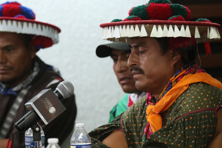 Exigen restitución de tierras para wixárikas  (Jalisco)