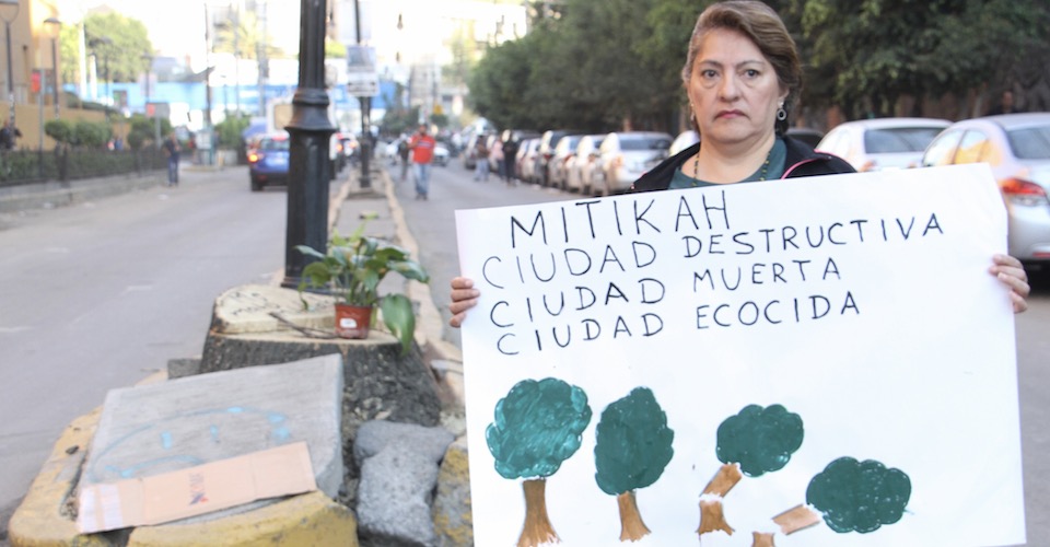 “Fue un ecocidio premeditado”: vecinos del Pueblo de Xoco narran tala irregular de árboles (Ciudad de México)