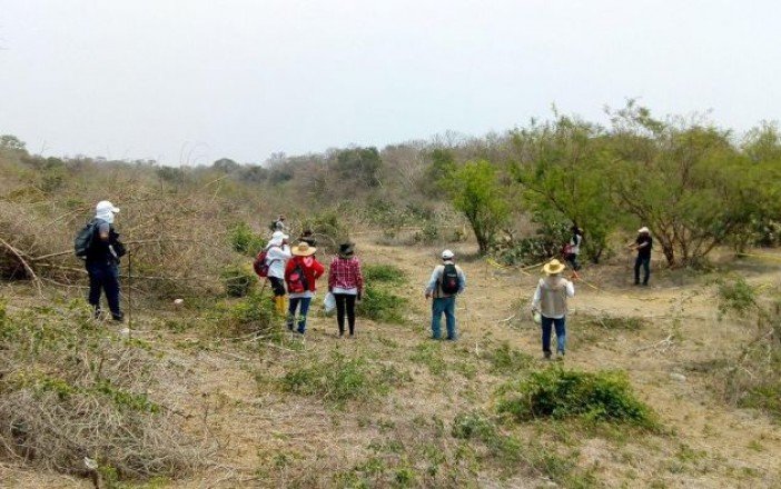 Crece a 43 fosas en cementerio clandestino en Veracruz