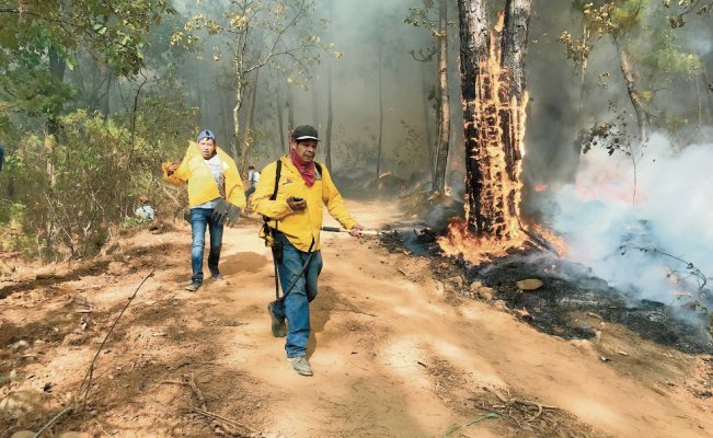 Comuneros, los héroes que con carencias combaten incendios forestales (Michoacán)