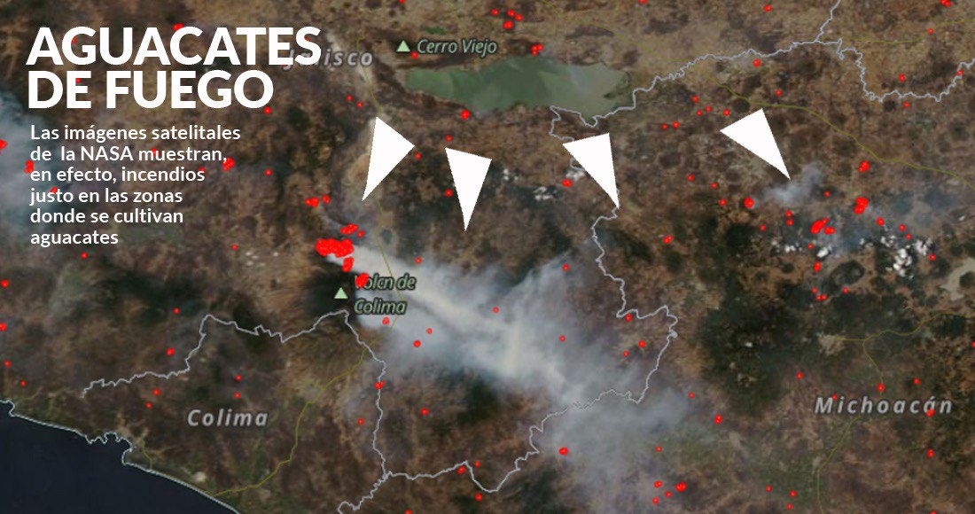 La ambición por los aguacates está detrás de los incendios en Colima-Jalisco, dicen comuneros