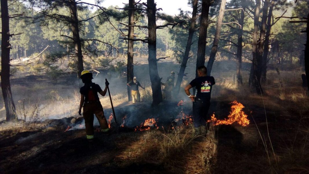 Se ubica Michoacán en el segundo lugar en incendios forestales