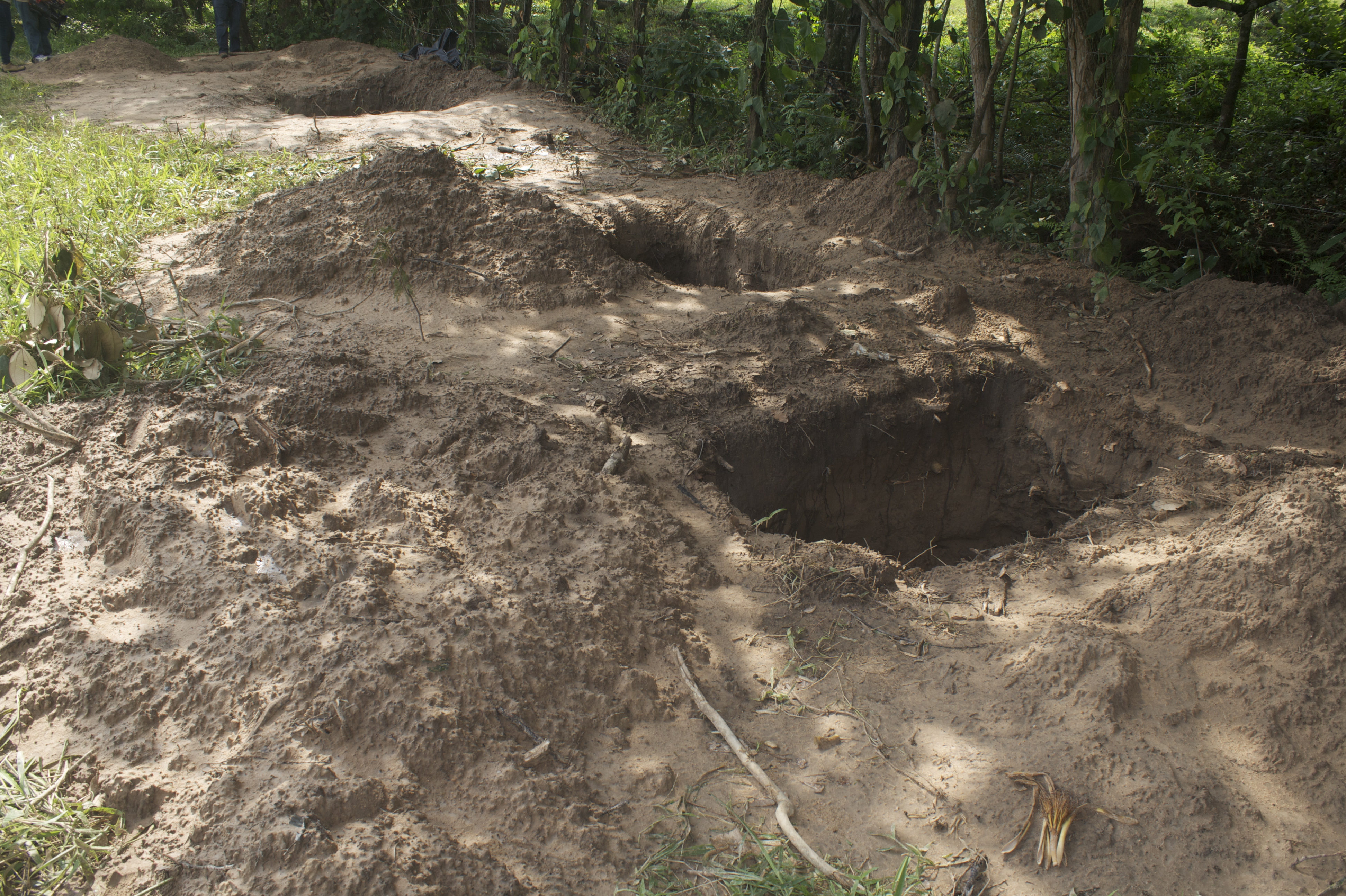 Colectivos desentierran esperanzas de fosas clandestinas en Veracruz