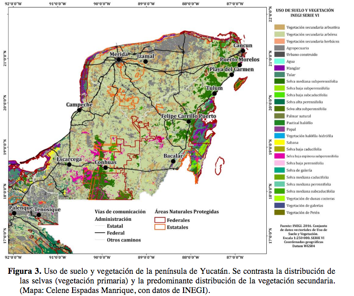 El tren maya ¿Por qué están tan preocupados los biólogos?